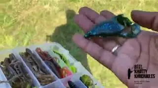 Is Bass Forecast Accurate!? You&rsquo;ll know after you watch!