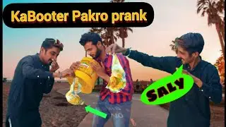 Grab my pigeon prank | pigeon prank in pakistan | Grab my pigeon funny prank |
