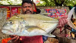 KASIMEDU SPEED SELVAM | HUGE TRAVELLY FISH CUTTING VIDEO | 4K VIDEO | KM FISH CUTTING