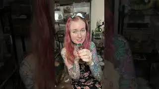 Мой самый странный питомец!! Слизняк, леопардовый слизень! #леопардовыйслизень #домашнийслизень #...
