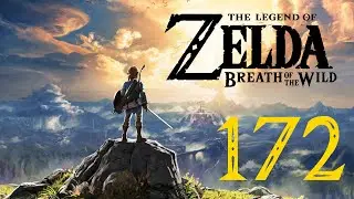 The Legend of Zelda: Breath of the Wild #172