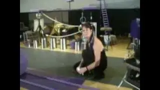 The Circus Cats Meet Phony News Reporters