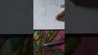 lesson 15 triangles and their properties practice set 36