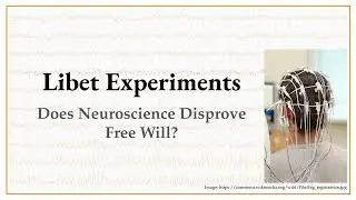 Does Neuroscience Disprove Free Will? The Libet Experiments and Their Implications