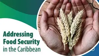 Addressing Food Security in the Caribbean
