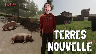 Cadeau d'un abonn&eacute; 🧐 Vente des cochons et moisson * Terres Nouvelle * LIVE 36 * Saison 01 #FS22