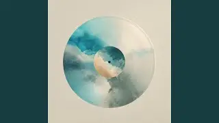 Dust on the Vinyl
