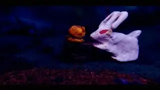 Feed Your Head (Uğur KARSE)