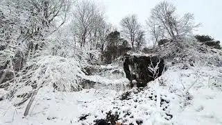 Frozen Waterfall Hike | Why does silence feel so powerful?#canadaontheroad #shorts