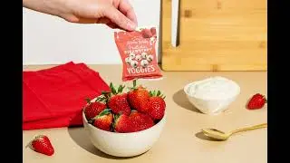 Nature's Garden Probiotic Strawberry Yoggies