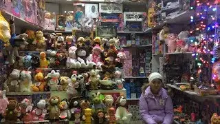 «Фея». Документальный этюд о продавщице игрушек с Казанского вокзала