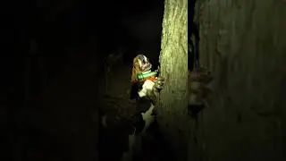 COON HUNTING! LISTEN TO THAT LOCATE!!!