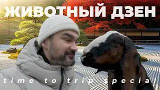 Трогать разрешено! Изучаем зоопарк &bdquo;Зоо Дзен&ldquo; в Токсово