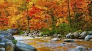 What is the extent of implications of the Incommensuration Theorem to metaphysics and philosophy?