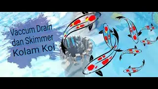 Vaccum Drain dan Skimmer Kolam Koi