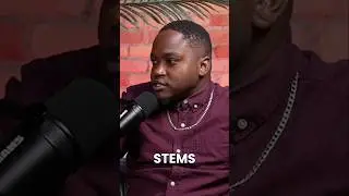 What are STEMS? #podcast #dj #toronto #music #djremix