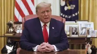 White House Newsflash January 31 2026