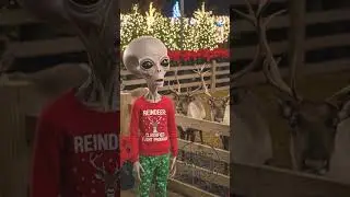 Why Humans Let Their Offspring Touch Antlered Beasts 👽 Field Note #259