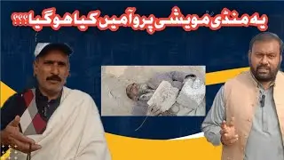 Mela Manddi Paroa || Manddi Mela Paroa || Saraiki Saqafti Mela || Wasaib Voice ||