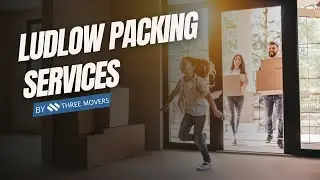 Trusted Ludlow Packing Services | Safe and Secure Ludlow Storage | Moving Insurance Explained