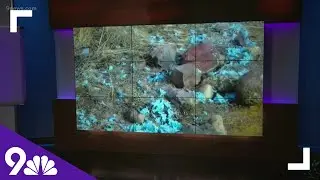 Suspected gender reveal leaves a mess at Colorado state park