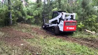 Clearing underbrush with bobcat forestry mulcher in Ruston, LA