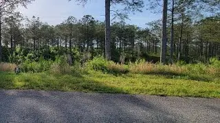 Lot 27 Hillside Lane, Ellijay, GA Presented by John Thomas.