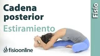 La cadena posterior y su estiramiento, la clave del alivio del dolor