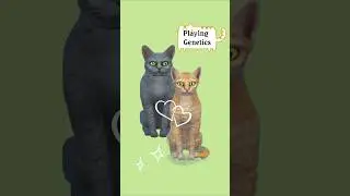Playing with Genetics 🧬😺 |Part 6 #thesims4 #cats