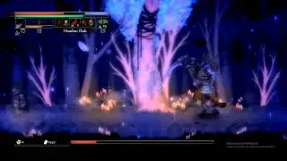 Salt and Sacrifice  - Final Boss Fight The Undone Sacrifice  & Ending