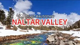 Pakistan&rsquo;s Hidden Snow Paradise | Naltar Valley Winter Vlog 2025