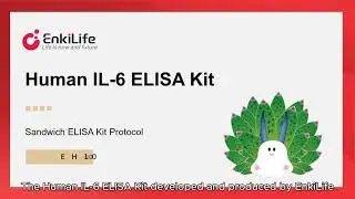 Human IL-6 ELISA Kit developed and produced by EnkiLife
