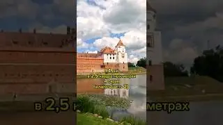94 дня в 2.5 квадратных метрах. Тизер 4 серии наших летних приключений.