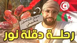 رحلة دقلة نور