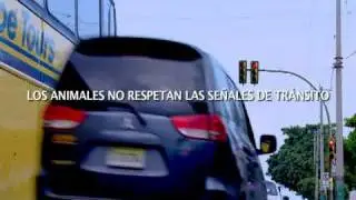 Caribetour Video 2
