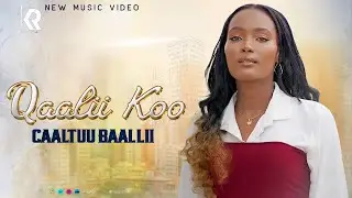  Caaltuu Baallii -  Qaalii Koo -  New Ethiopian Oromo Music  (official video) 2025