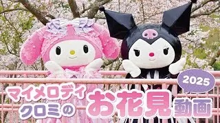 【公式】マイメロディとクロミの園内お花見動画【桜】