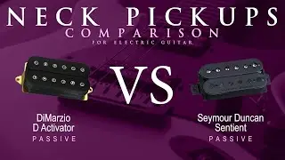 DiMarzio D ACTIVATOR vs Seymour Duncan SENTIENT - Passive Neck Pickup Guitar Tone Comparison Demo