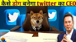 How a dog become twitter's CEO  ll Top 15 random facts ll