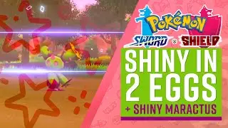 Shiny in 2 Eggs + Shiny Maractus in Pokemon Sword and Shield