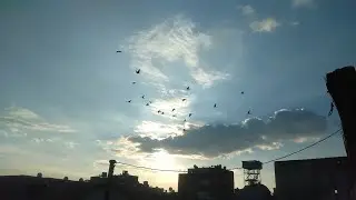 اجواء الشتاء مع الحمام 💦☄️❤️