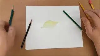 Color Pencil Basics - Brown Paper Tutorials
