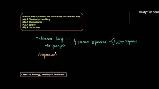 In evolutionary terms, we have more in common with