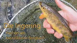 Die Ingering &bull; Spinnfischen am kristallklaren Bergbach