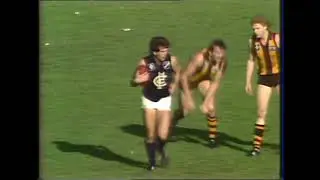 Wayne Johnston highlights 1983 Round 20