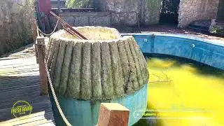 ÚLTIMOS LATIDOS DE SOBREMONTE MAR DEL PLATA