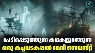 പേടിപ്പെടുത്തുന്ന കഥകളുറങ്ങുന്ന ഒരു കച്ചവടകപ്പൽ മേരി സെലസ്‌റ്റ്