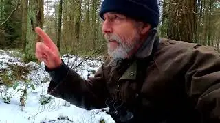 Who found the food I left ? Following forest trails, hampered by fallen trees. What was that ?