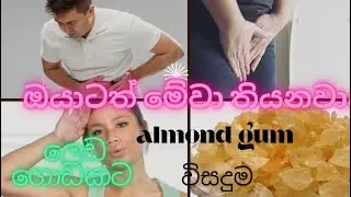 ඔයාටත් මේවා තියනවාද බලන්න හැම ලෙඩකටම එකම විසදුම ආමන්ඩ් ගම් #badampisin#almondgum#youtube