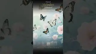 蝴蝶交響曲．冬  Butterfly Symphony 